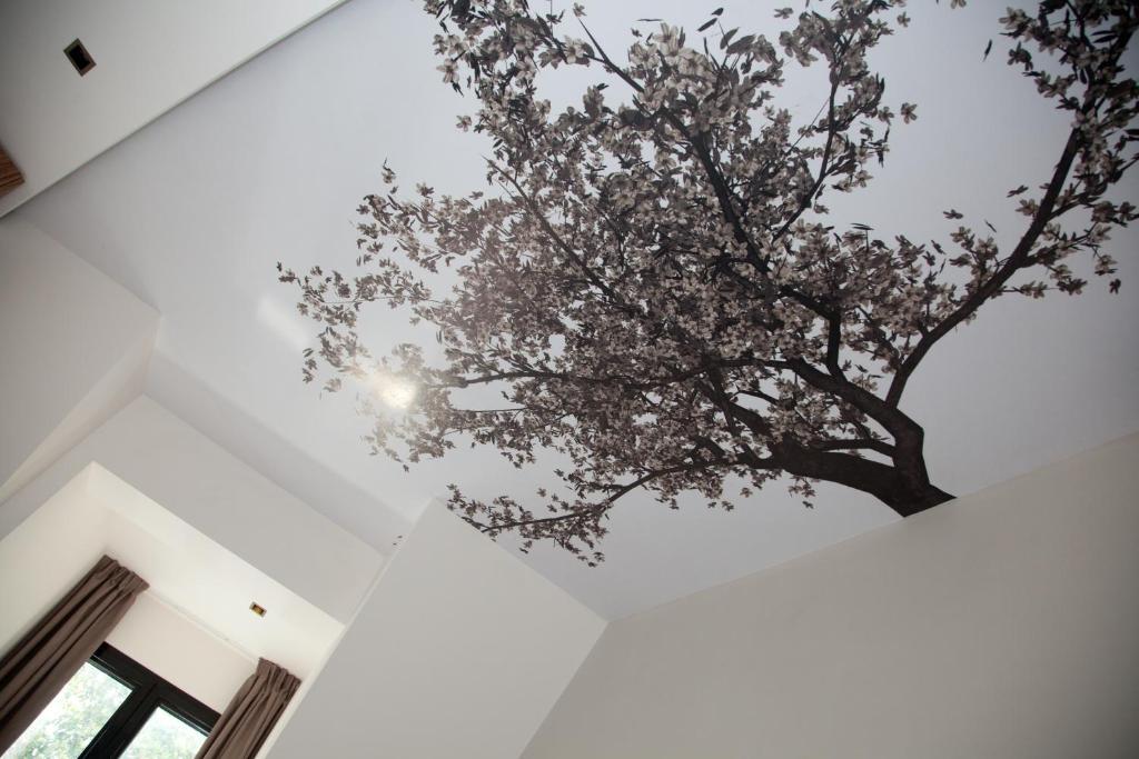 Hotel Sole Ni Intérieur photo